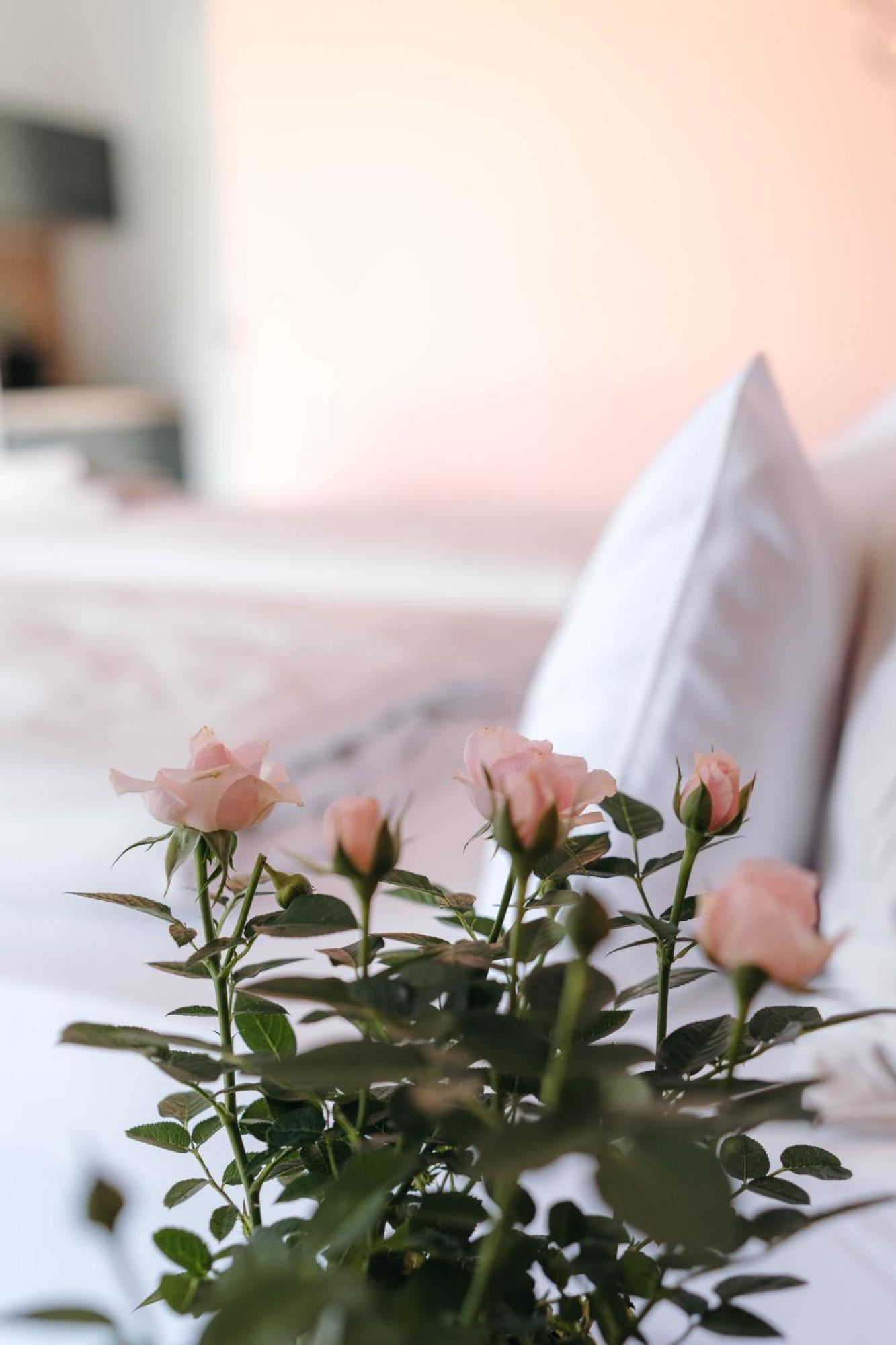 Burgau Pension Blumenwiese - Mitten Im Thermenland מראה חיצוני תמונה